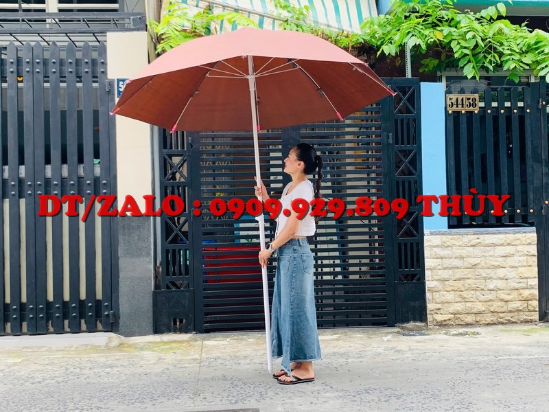 dù che xe đẩy bán hàng màu nâu